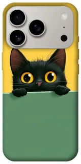 Чохол на Apple iPhone 18 Pro Black cat v2 фото 1 з 2