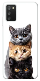Чохол на Samsung Galaxy A03s Гарні котики фото 1 з 1