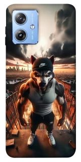 Чохол на Motorola Moto G84 Вовк фото 1 з 1