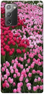 Чохол на Samsung Galaxy Note 20 Flowers v9 фото 1 з 1