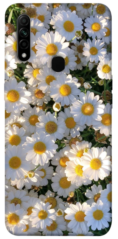 Чохол на Oppo A31 Поле ромашок фото 1 з 1