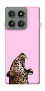 Чехол на Motorola Edge 60 Pro Leopard Meow фото 1 из 1