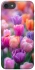 Чохол на Apple iPhone 7 / 8 (4.7") Тюльпанове поле фото 1 з 1