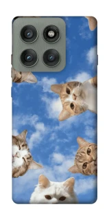 Чохол на Motorola Edge 60 Pro Сats фото 1 з 1