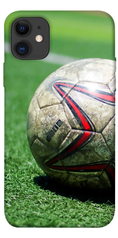 Чехол на Apple iPhone 11 (6.1") Мяч на газоне фото 1 из 1