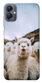 Чохол на Samsung Galaxy A05 Лама фото 1 з 1