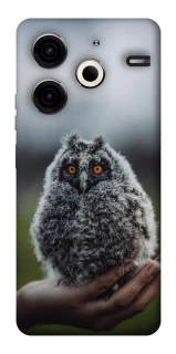 Чохол на TECNO Pova 6 Neo (LI6) Совеня фото 1 з 1