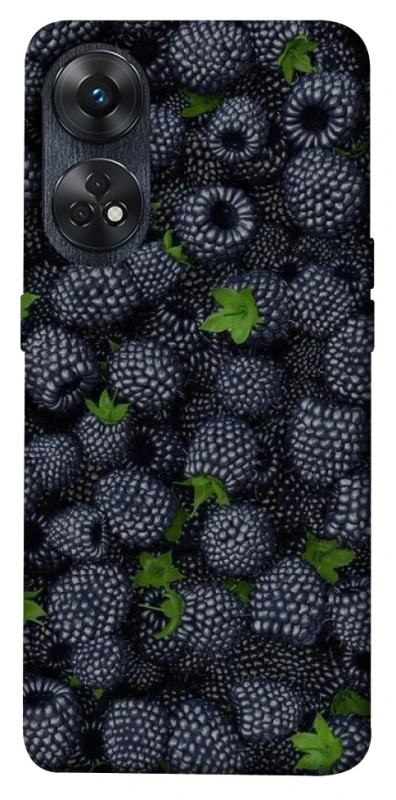 Чохол на Oppo Reno 8T 4G Fresh фото 1 з 1