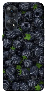 Чохол на Oppo Reno 8T 4G Fresh фото 1 з 1