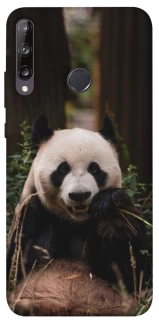 Чехол на Huawei P40 Lite E Панда фото 1 из 1