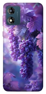 Чехол на Motorola Moto E13 Bunch of grapes фото 1 из 1