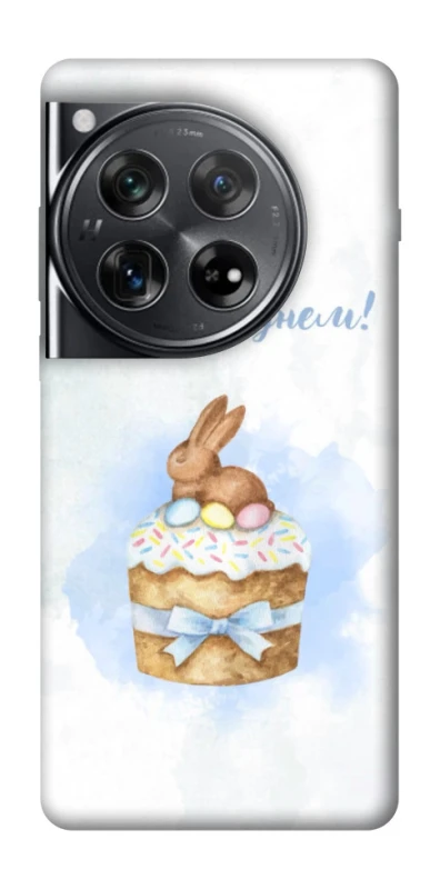 Чехол на OnePlus 12 Easter ver.8 фото 1 из 1