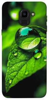 Чохол на Samsung J600F Galaxy J6 (2018) Flowers v16 фото 1 з 1