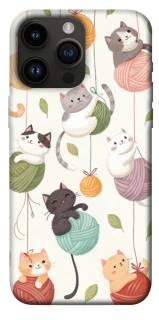 Чохол на Apple iPhone 14 Pro Max (6.7") Funny Kittens фото 1 з 1