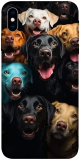 Чохол на Apple iPhone X (5.8") Собаки фото 1 з 1