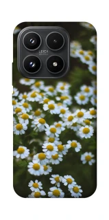 Чохол на Xiaomi 17 Ромашки v13 фото 1 з 1