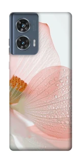 Чохол на Motorola Edge 50 Flowers zon фото 1 Чохол на Motorola Edge 50 Flowers zon фото 1 з 1