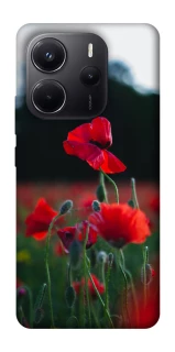 Чехол на Xiaomi Redmi Note 14 5G Мак фото 1 из 1