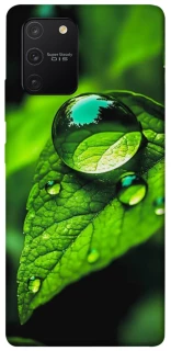 Чохол на Samsung Galaxy S10 Lite Flowers v16 фото 1 з 1