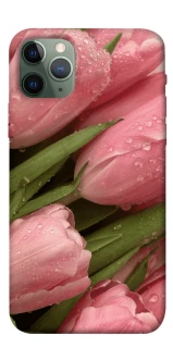 Чехол на Apple iPhone 11 Pro (5.8") Beauty фото 1 из 1