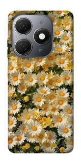 Чехол на TECNO Spark 20 Camomile фото 1 из 1