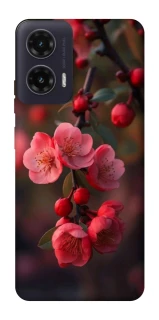 Чохол на Motorola Moto G35 Flowers v28 фото 1 з 1