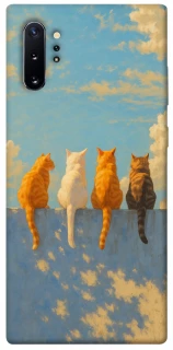 Чехол на Samsung Galaxy Note 10 Plus cats on wall фото 1 Чехол на Samsung Galaxy Note 10 Plus cats on wall фото 1 из 1