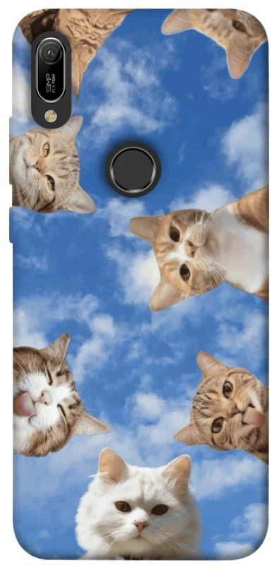 Чохол на Huawei Y6 (2019) Сats фото 1 з 1