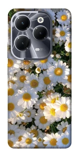 Чехол на Infinix Hot 40 Pro Поле ромашек фото 1 из 1