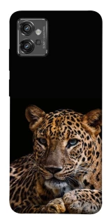Чохол на Motorola Moto G32 Leopard v4 фото 1 з 1
