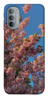 Чохол на Motorola Moto G31 Flowers v4 фото 1 з 1