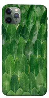 Чохол на Apple iPhone 11 Pro Max (6.5") Листя фото 1 з 1