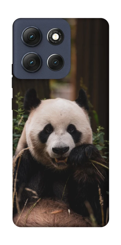 Чехол на Motorola Moto G86 Панда фото 1 из 1