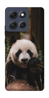 Чехол на Motorola Moto G86 Панда фото 1 из 1