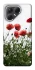 Чехол на TECNO Pova 7 Поле маков фото 1 из 1