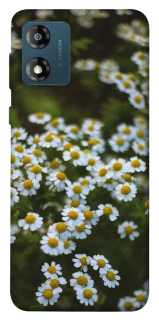 Чехол на Motorola Moto E13 Ромашки v13 фото 1 из 1