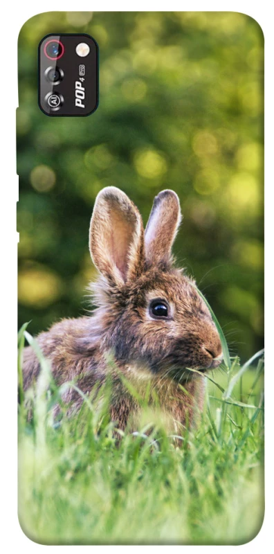 Чехол на TECNO POP 4 Pro Кролики фото 1 из 1