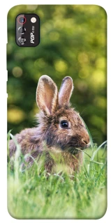Чехол на TECNO POP 4 Pro Кролики фото 1 из 1