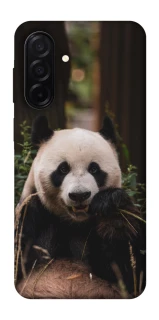 Чехол на Samsung Galaxy A26 5G Панда фото 1 из 1