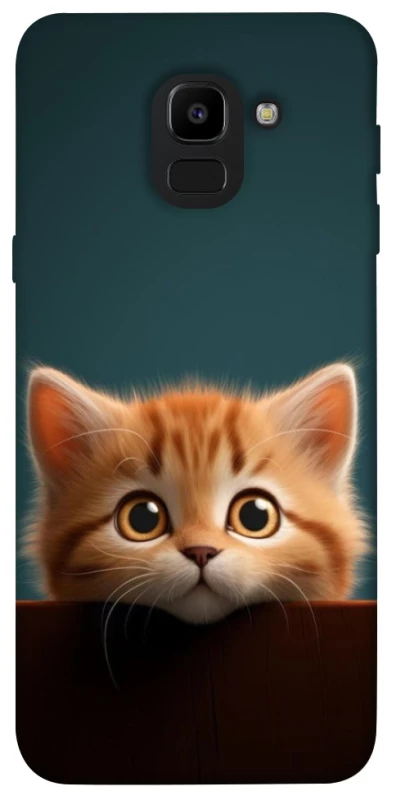 Чохол на Samsung J600F Galaxy J6 (2018) Чохол Кошеня фото 1 з 1