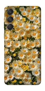 Чохол на Samsung Galaxy M55 Camomile фото 1 з 1