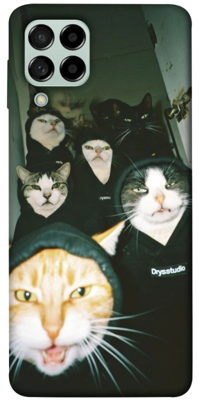 Чехол на Samsung Galaxy M53 5G Сatsss фото 1 из 1