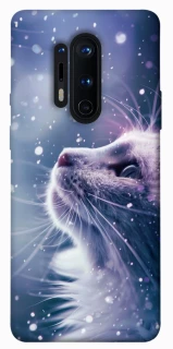 Чохол на OnePlus 8 Pro Snow cat фото 1 з 1