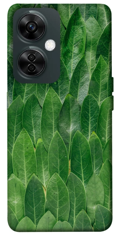 Чехол на OnePlus Nord CE 3 Lite Листья фото 1 из 1