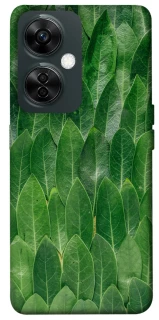 Чохол на OnePlus Nord CE 3 Lite Листя фото 1 з 1