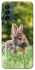 Чехол на Samsung Galaxy M34 5G Кролики фото 1 из 1