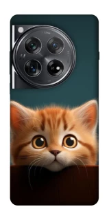 Чохол на OnePlus 12 Чохол Кошеня фото 1 з 1