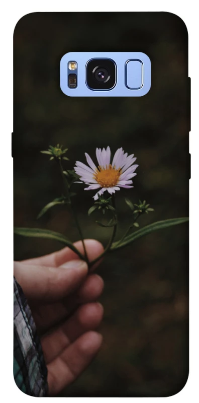 Чохол на Samsung G950 Galaxy S8 Ромашка v4 фото 1 з 1
