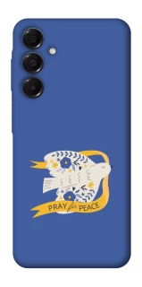 Чехол на Samsung Galaxy A16 4G/5G Ласточка фото 1 из 1