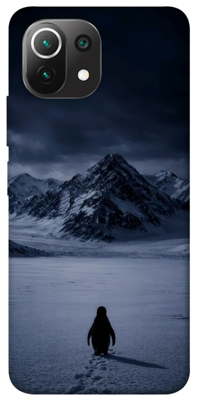 Чохол на Xiaomi Mi 11 Lite But why? фото 1 з 1